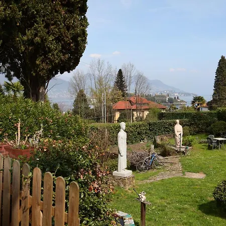 Lucciola *